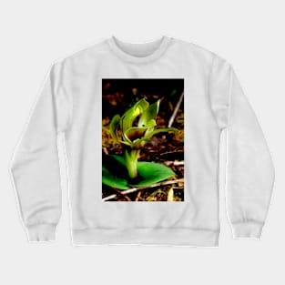 Green Bird Orchid Crewneck Sweatshirt